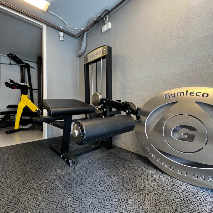 342-leg-curl-larcurl-gymleco-ashkan-homegym-garage-zoomin-scaled